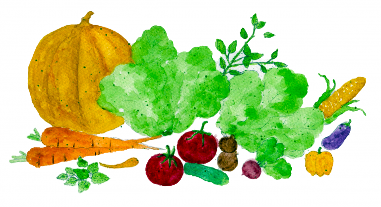 Gemüse von A bis Z FarmerWiki by Farmer Panorama Online Shop