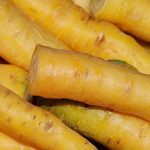 Karotte Jaune de Doubs