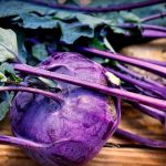 Kohlrabi Delikatess Blauer