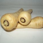 Pastinake White King