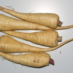 Pastinaken Tender and True