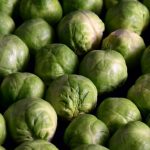 Rosenkohl - Idemar