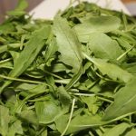 Rucola Salat Rauke