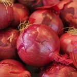 Zwiebel rote Laaer