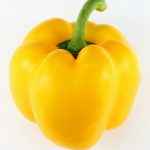Gelber Paprika