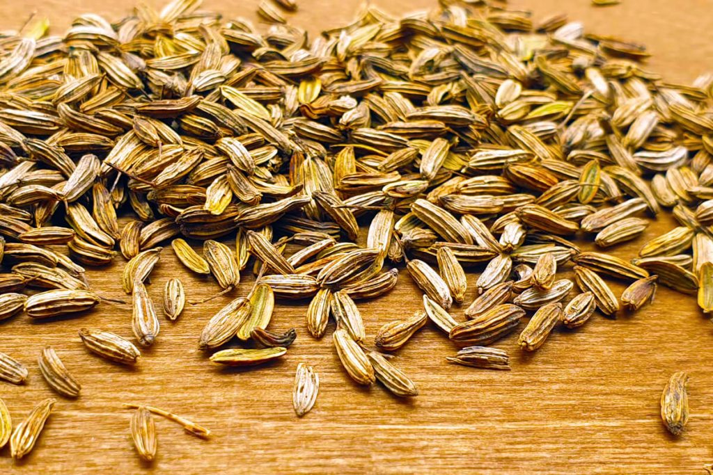 Gewürzfenchel