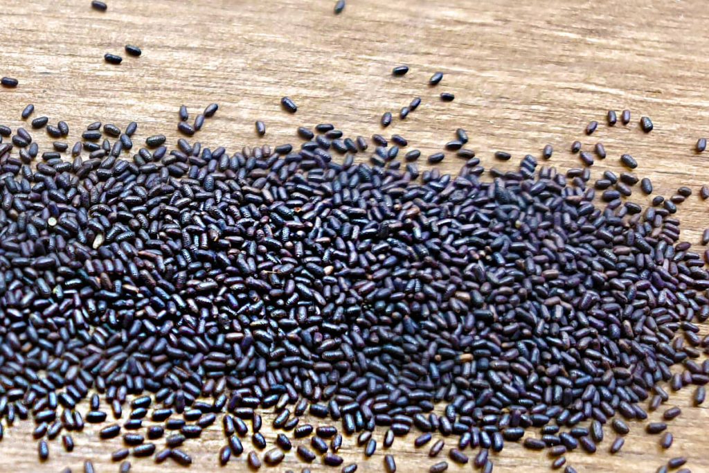 Johanniskraut