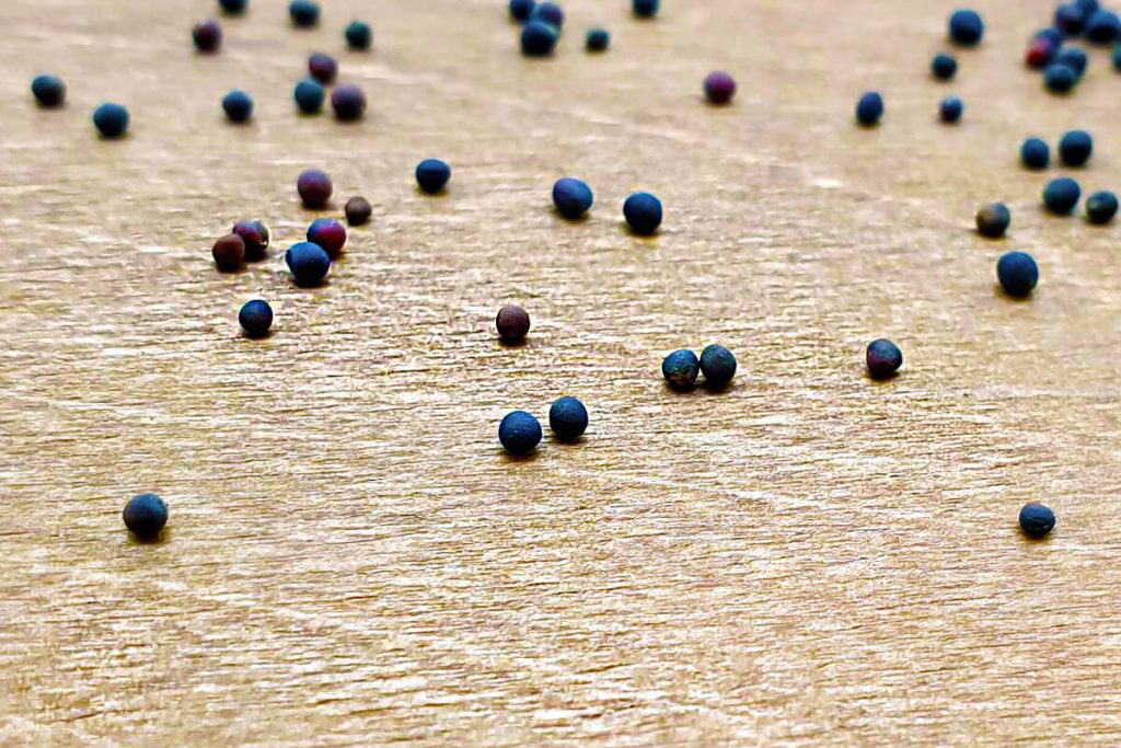 Kohlrabi - Delikateß blauer